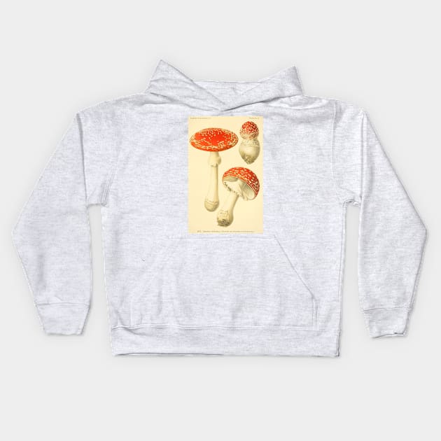 Amanita muscaria - Dufour, L Kids Hoodie by immortalpeaches